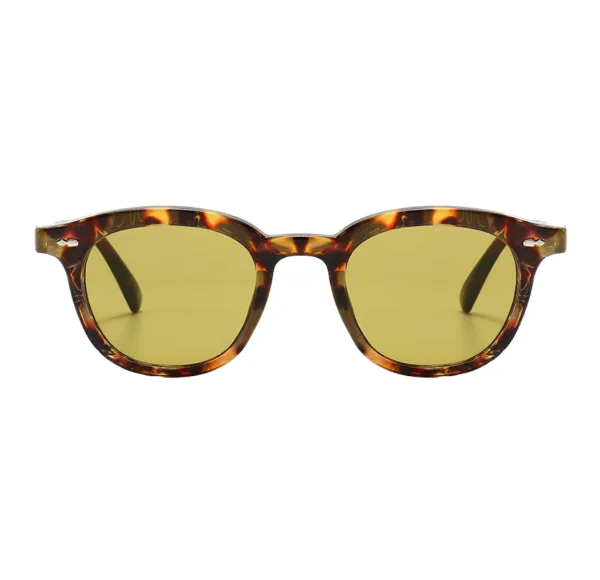 Classic Tortoise Shell Eyewear